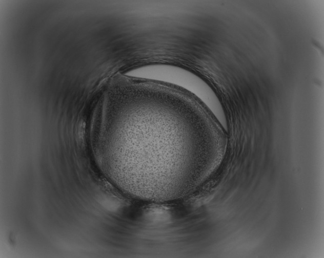 X0000091930263200709191406