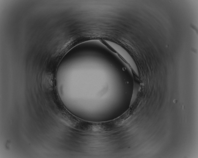 X0000091930264200709191406