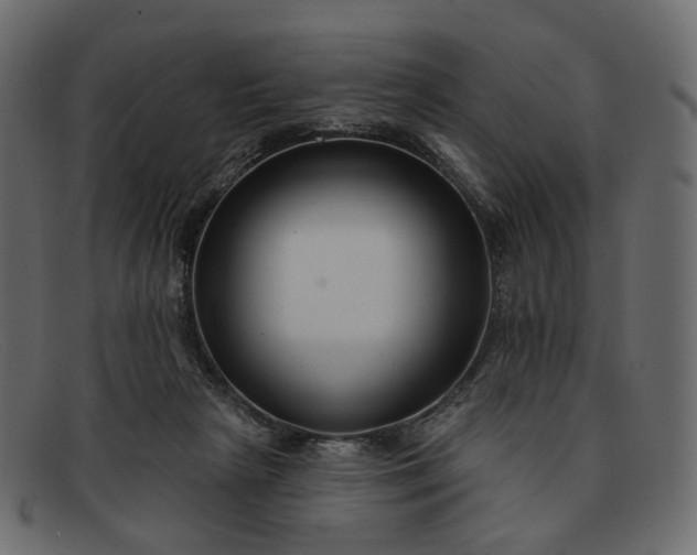 X0000091930265200709191406