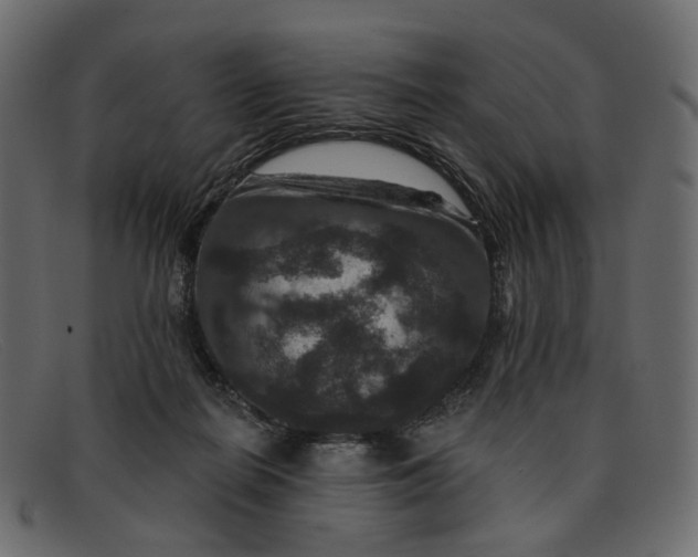 X0000091930266200709191406