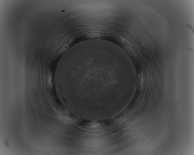 X0000091930267200709191406
