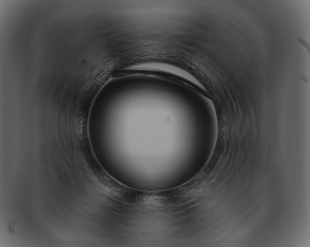X0000091930268200709191406