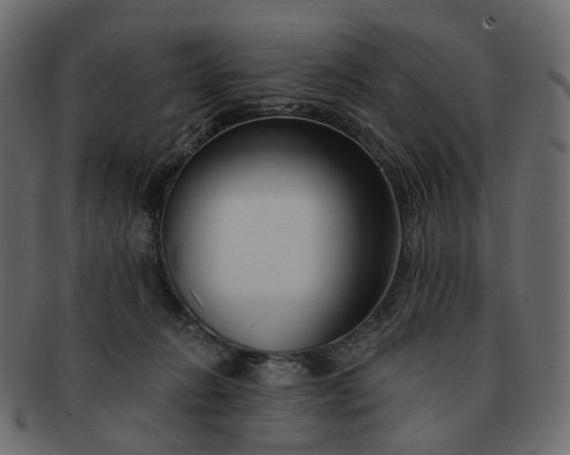 X0000091930270200709191406