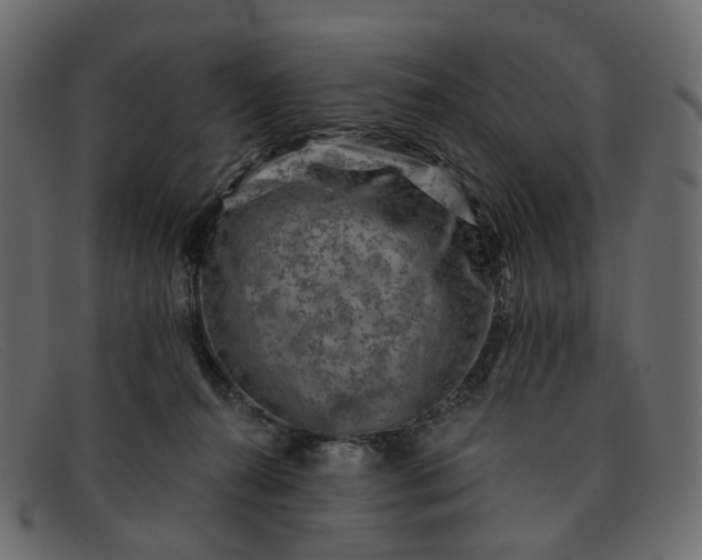 X0000091930272200709191406