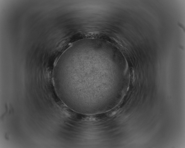 X0000091930276200709191406