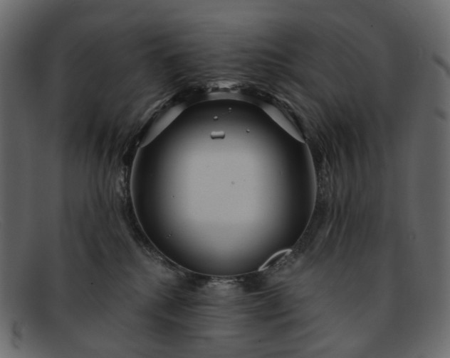 X0000091930280200709191406