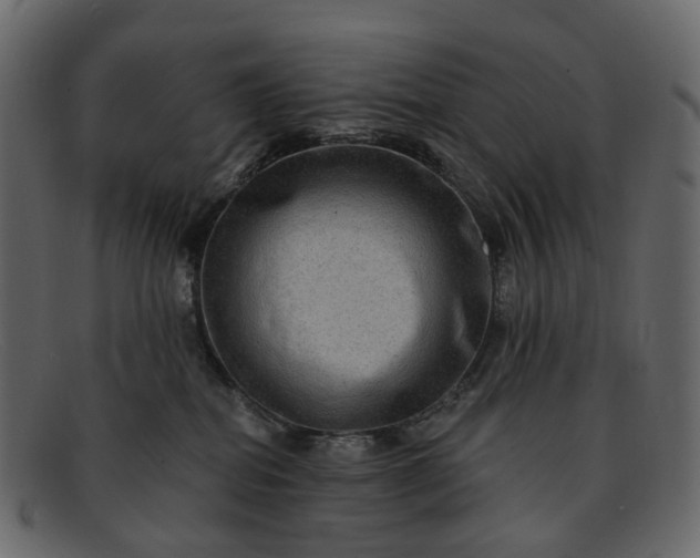 X0000091930282200709191406