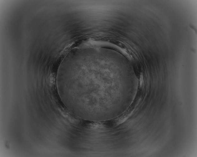 X0000091930284200709191406