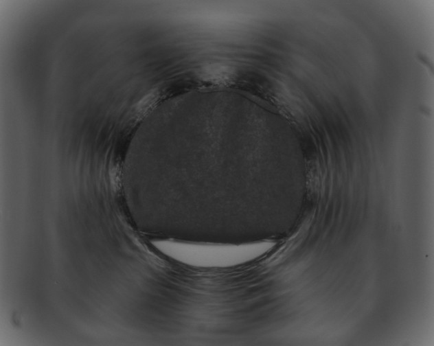 X0000091930285200709191406