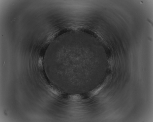 X0000091930286200709191406