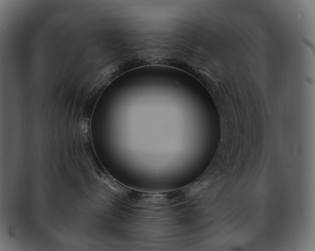 X0000091930288200709191406