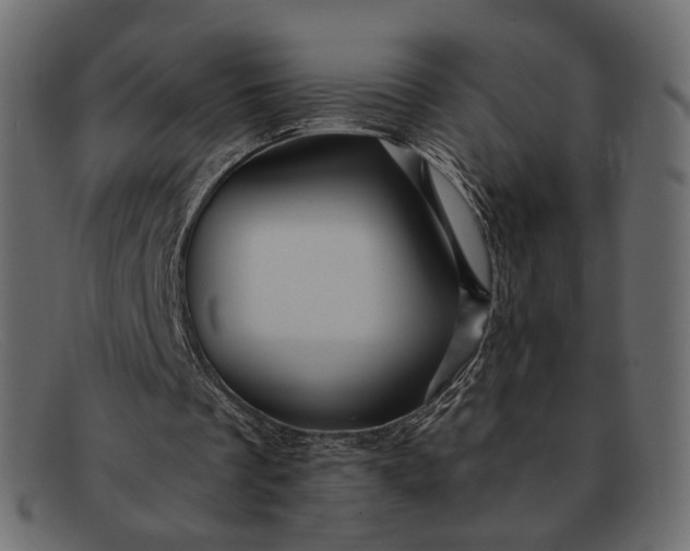 X0000091930289200709191405