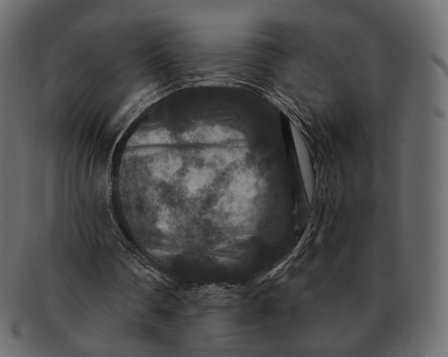 X0000091930290200709191405