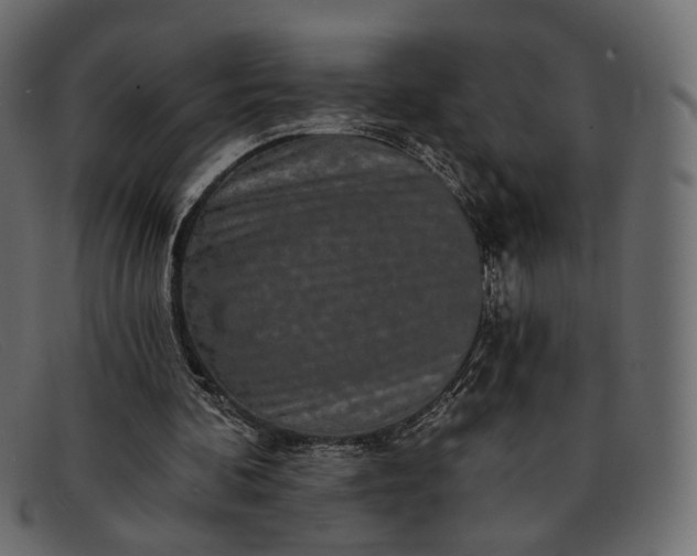 X0000091930292200709191405
