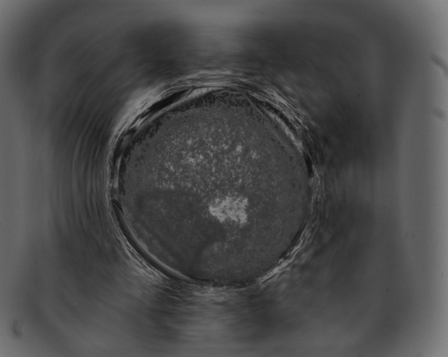 X0000091930293200709191405