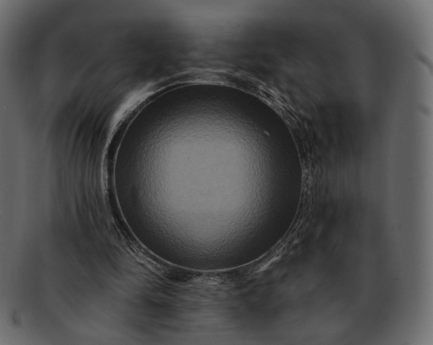X0000091930294200709191405