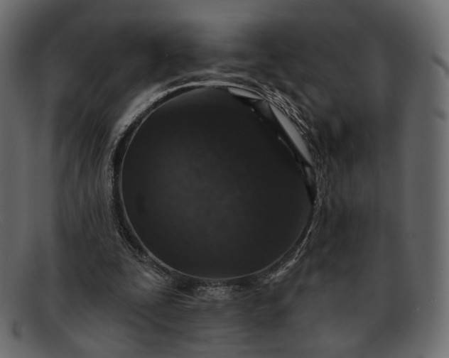 X0000091930295200709191405