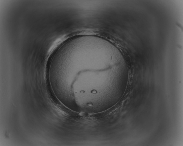X0000091930296200709191405