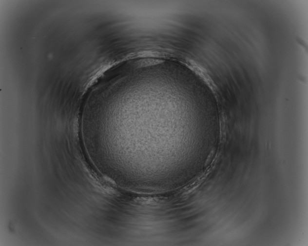 X0000091930297200709191405