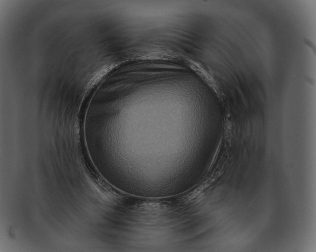 X0000091930298200709191405