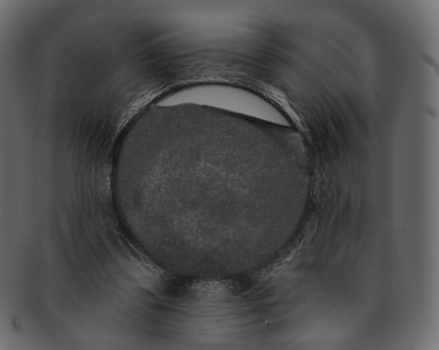 X0000091930299200709191405