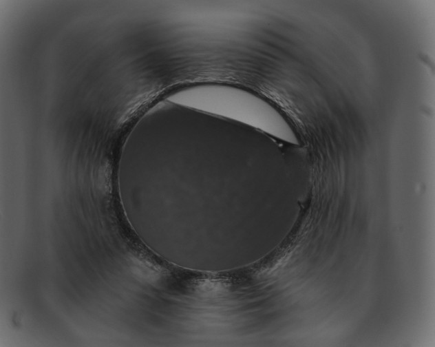 X0000091930303200709191405