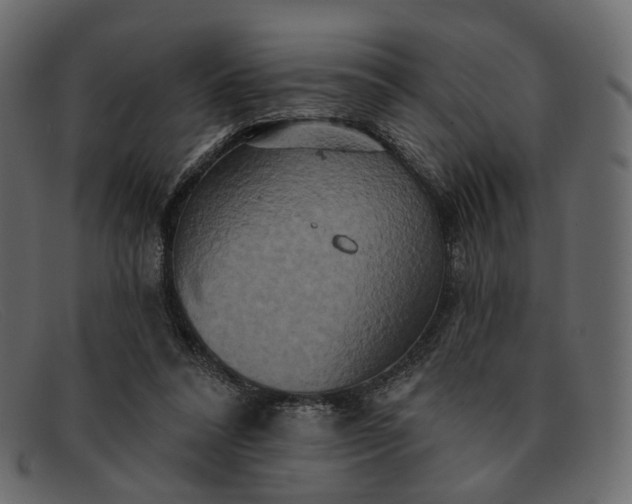 X0000091930304200709191405