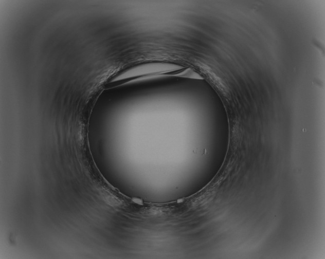 X0000091930305200709191405