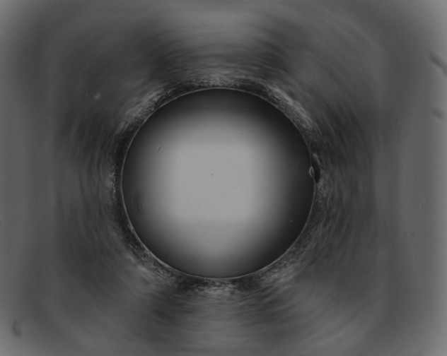 X0000091930306200709191405