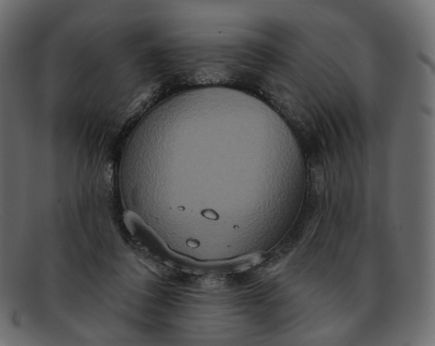 X0000091930308200709191405