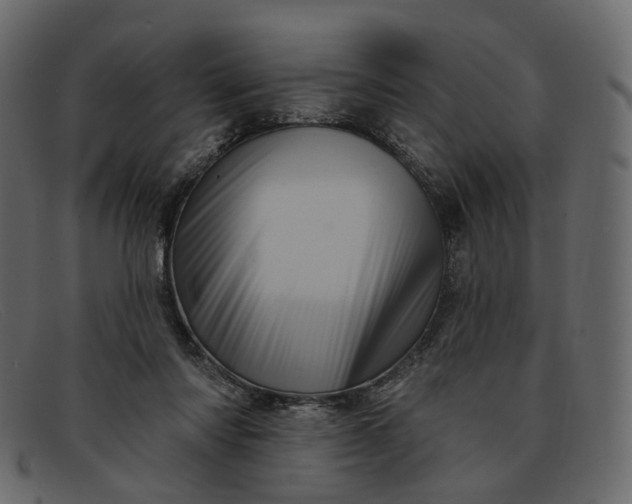 X0000091930310200709191405