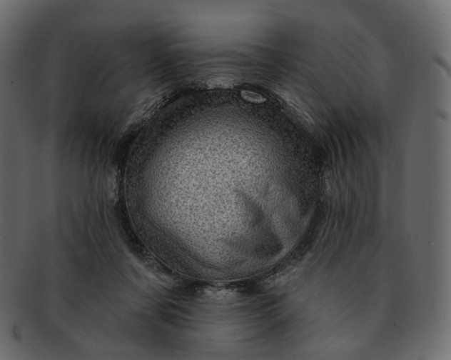 X0000091930311200709191405