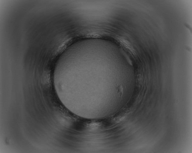 X0000091930312200709191405