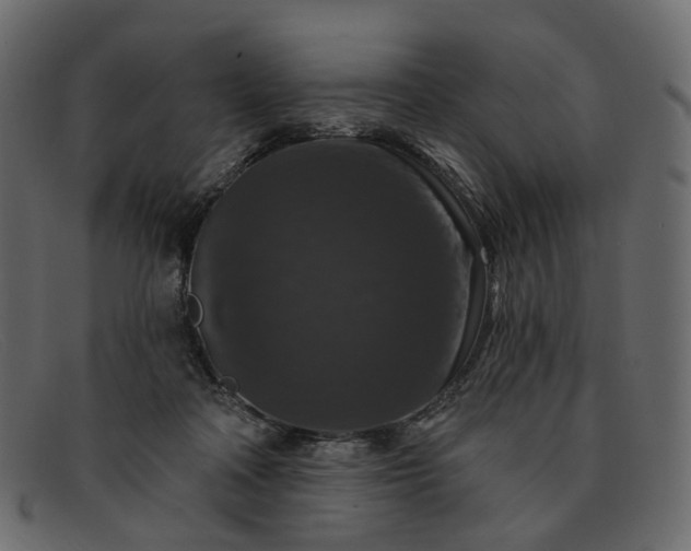 X0000091930314200709191405