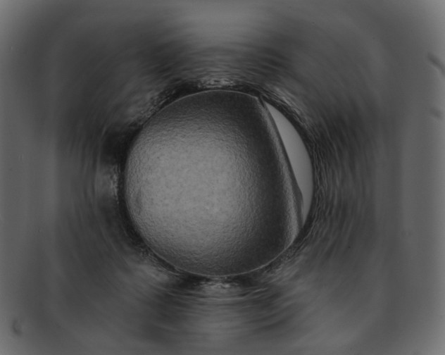 X0000091930315200709191405