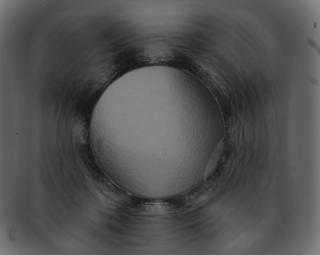 X0000091930316200709191405