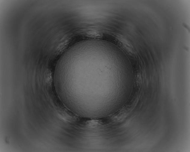 X0000091930320200709191405