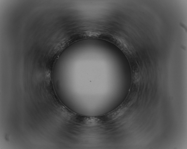 X0000091930321200709191405
