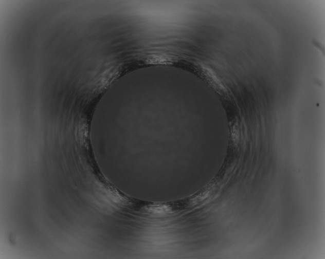 X0000091930322200709191405