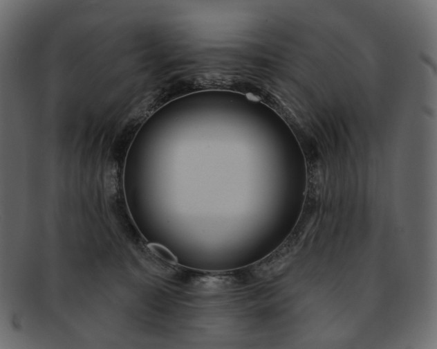 X0000091930323200709191405