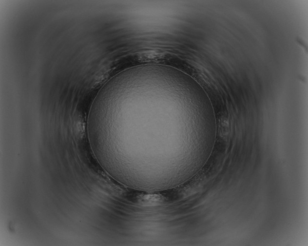 X0000091930324200709191405