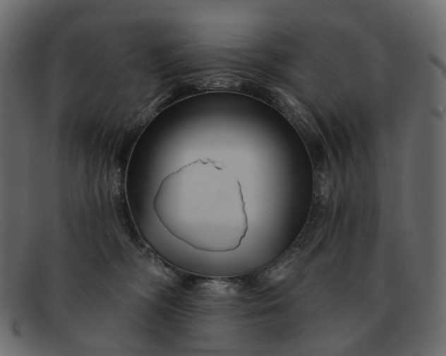 X0000091930326200709191405
