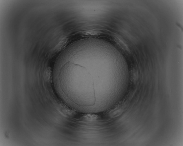X0000091930328200709191405