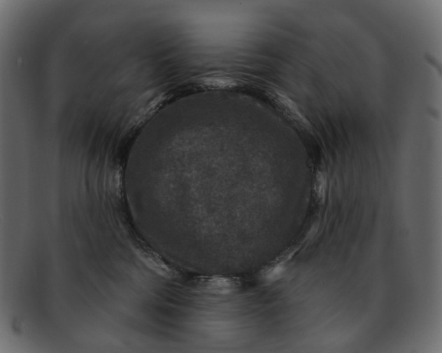 X0000091930330200709191405