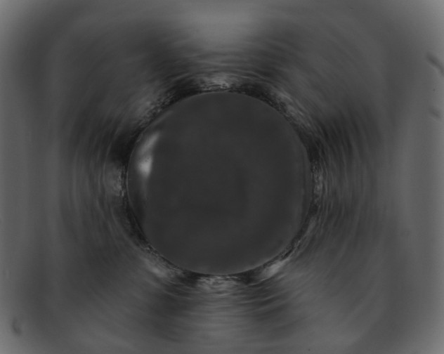 X0000091930331200709191405