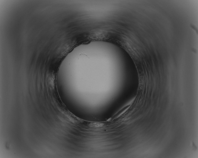 X0000091930334200709191405