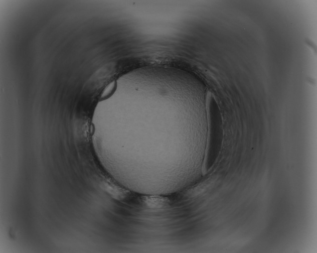 X0000091930336200709191405