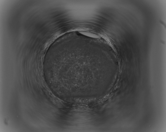 X0000091930337200709191404
