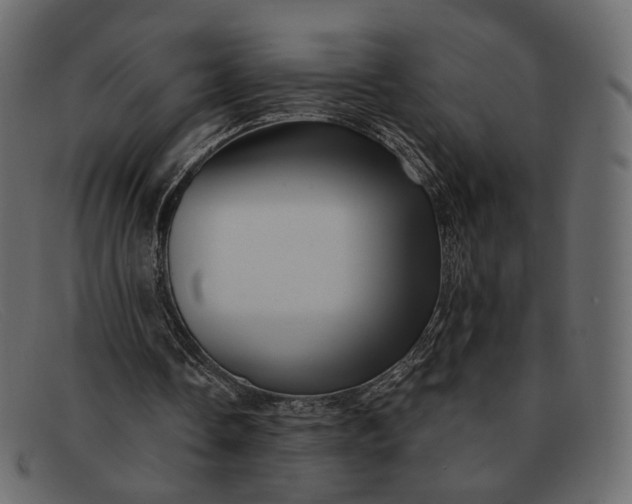 X0000091930338200709191404