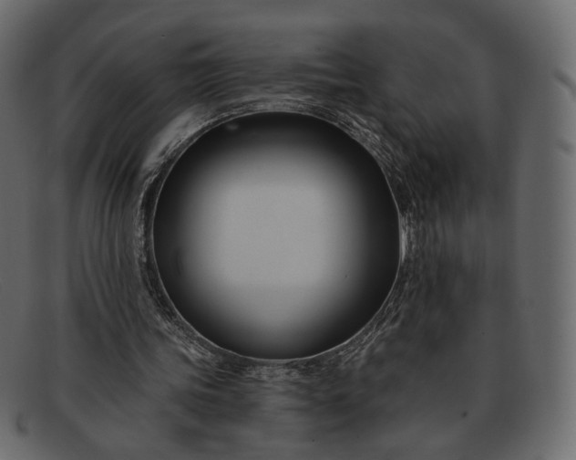X0000091930339200709191404